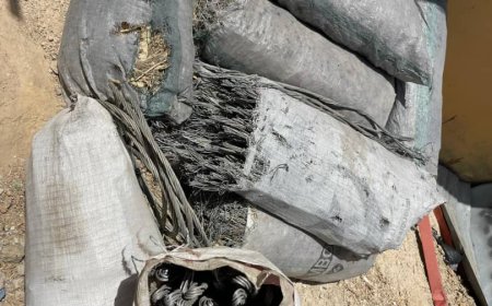 Two Suspected Vandals Arrested with Stolen High-Tension Cables in Borno
