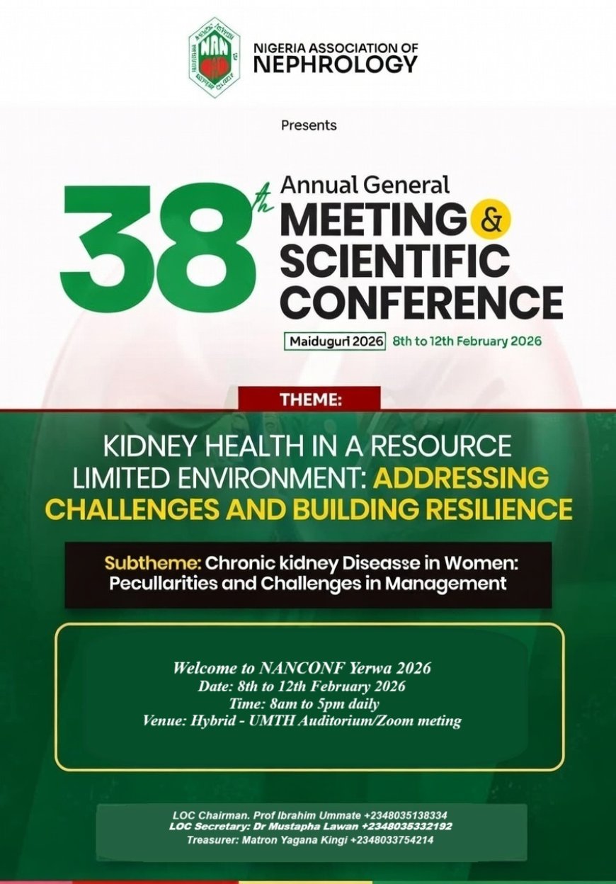 Borno Government to Strengthen Support for Kidney Patients